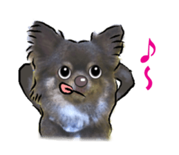 -Chihuahuas-Ver.3 sticker #7361498