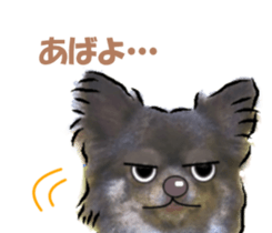 -Chihuahuas-Ver.3 sticker #7361499