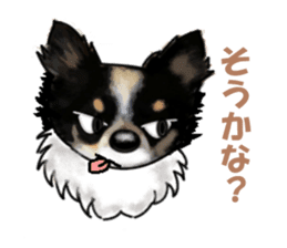 -Chihuahuas-Ver.3 sticker #7361505