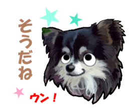-Chihuahuas-Ver.3 sticker #7361506