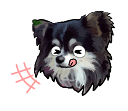 -Chihuahuas-Ver.3 sticker #7361507