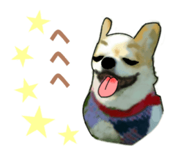 -Chihuahuas-Ver.3 sticker #7361512