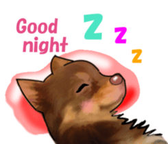 -Chihuahuas-Ver.3 sticker #7361516