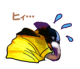 -Chihuahuas-Ver.3 sticker #7361519