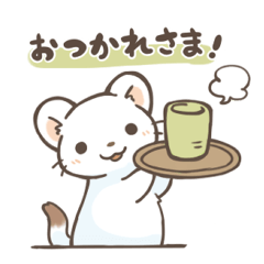 Pop up Ermine