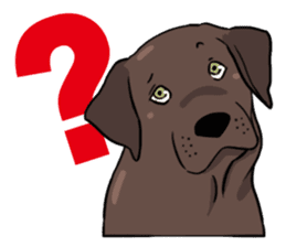 Solo the Labrador Retriever sticker #7363645