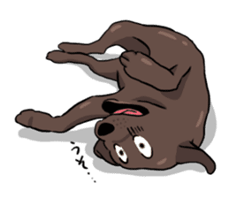 Solo the Labrador Retriever sticker #7363646