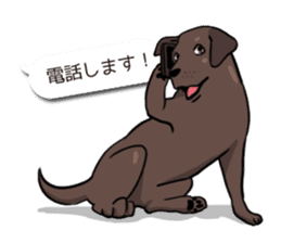 Solo the Labrador Retriever sticker #7363648