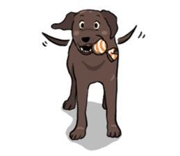 Solo the Labrador Retriever sticker #7363653