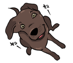 Solo the Labrador Retriever sticker #7363654