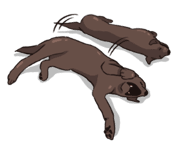 Solo the Labrador Retriever sticker #7363655