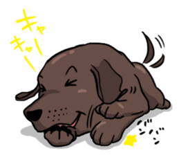 Solo the Labrador Retriever sticker #7363656