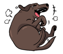 Solo the Labrador Retriever sticker #7363657