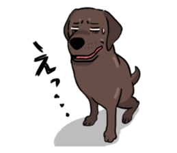 Solo the Labrador Retriever sticker #7363658