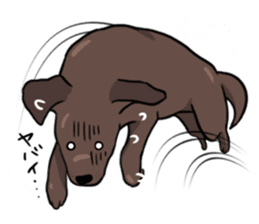 Solo the Labrador Retriever sticker #7363660