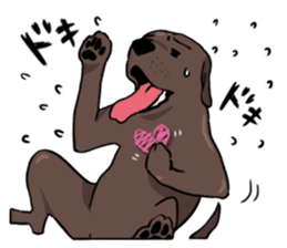 Solo the Labrador Retriever sticker #7363661