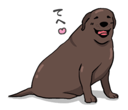 Solo the Labrador Retriever sticker #7363662