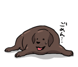 Solo the Labrador Retriever sticker #7363663
