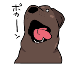 Solo the Labrador Retriever sticker #7363665
