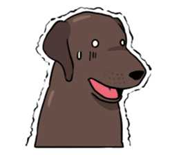 Solo the Labrador Retriever sticker #7363666