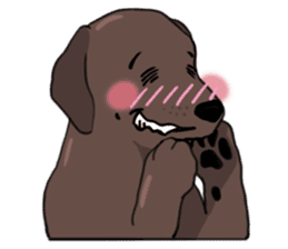 Solo the Labrador Retriever sticker #7363667