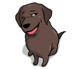 Solo the Labrador Retriever sticker #7363669
