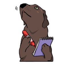 Solo the Labrador Retriever sticker #7363679