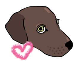 Solo the Labrador Retriever sticker #7363680