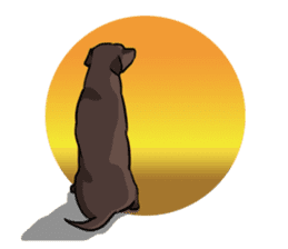 Solo the Labrador Retriever sticker #7363683