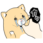 สติ๊กเกอร์ไลน์ Crying cat Ki-chan's animation