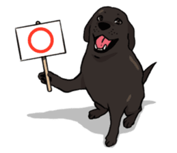 Doc the Labrador Retriever sticker #7364444