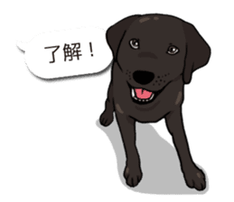 Doc the Labrador Retriever sticker #7364448