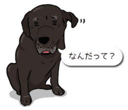 Doc the Labrador Retriever sticker #7364451