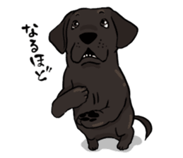 Doc the Labrador Retriever sticker #7364452