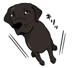 Doc the Labrador Retriever sticker #7364453