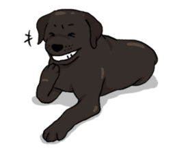 Doc the Labrador Retriever sticker #7364455