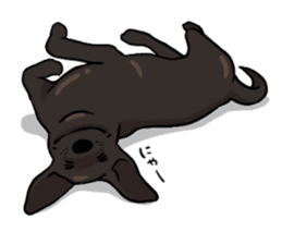 Doc the Labrador Retriever sticker #7364458