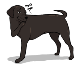 Doc the Labrador Retriever sticker #7364459