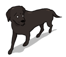 Doc the Labrador Retriever sticker #7364460