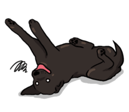 Doc the Labrador Retriever sticker #7364461