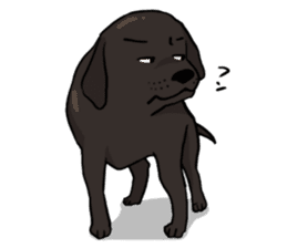 Doc the Labrador Retriever sticker #7364464