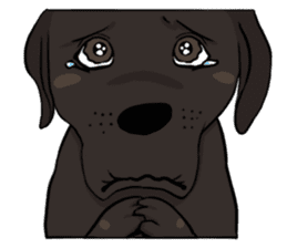 Doc the Labrador Retriever sticker #7364466