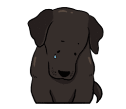 Doc the Labrador Retriever sticker #7364467