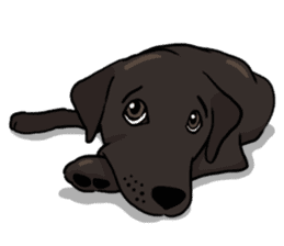 Doc the Labrador Retriever sticker #7364468