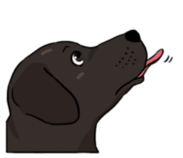 Doc the Labrador Retriever sticker #7364469