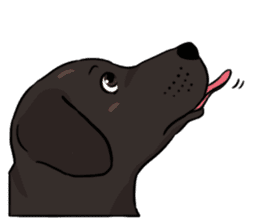 Doc the Labrador Retriever sticker #7364469
