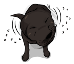 Doc the Labrador Retriever sticker #7364470