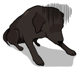 Doc the Labrador Retriever sticker #7364471