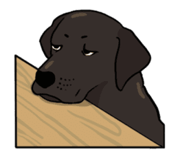 Doc the Labrador Retriever sticker #7364472