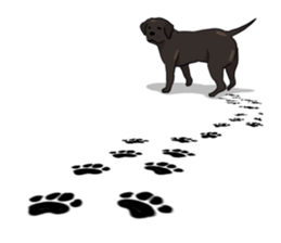 Doc the Labrador Retriever sticker #7364473